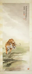 Tijger