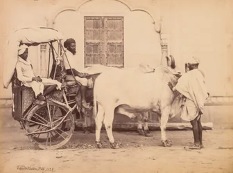Ossenkar, Delhi