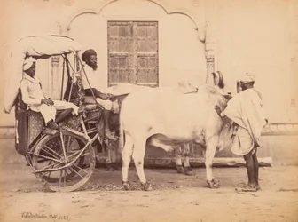 Ossenkar, Delhi, 1863