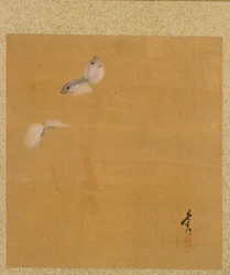 Motten uit Album van Schilderijen door de Eerwaarde Zeshin