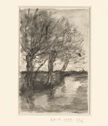 Bomen langs een sloot