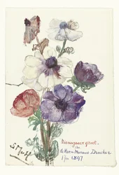 Nieuwjaarsgroet met anemonen