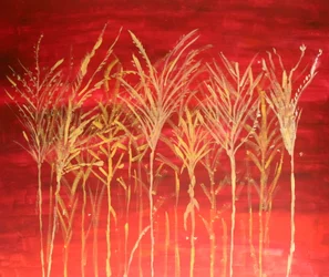 Grassen in de avondzon