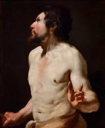 Studie van torso Schilderij van de school van Simon Vouet (1590-1649)