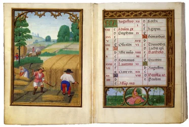 Augustus - Tarwe oogsten, schoven binden