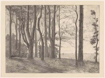 Bomen aan water met zeilboten
