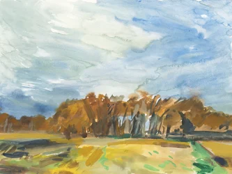 Richmond Park, 2018 (aquarel op papier)