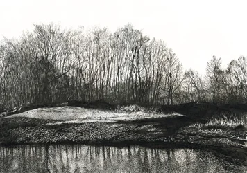 Berken, Burying Hill Beach (inkt op papier)