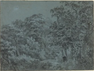 In de Haagse bossen
