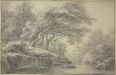 Beek aan de rand van het bos