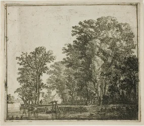 Bos bij een kanaal