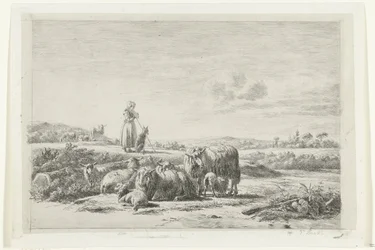 Landschap met herderin en hond bij kudde schapen