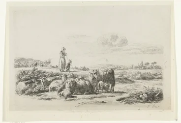 Landschap met herderin en hond bij kudde schapen