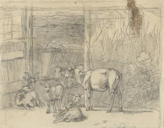 Schapen en een geit voor een stal