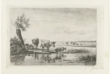 Weidelandschap met koeien bij water