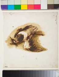 De Dode Kievit (tekening)