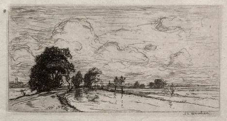 Overstroomd landschap met bomen