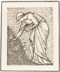 Dame die bloemen plukt