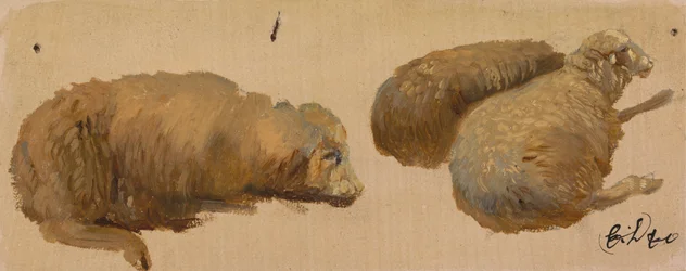 Drie Schapen in Rust