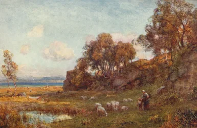Beschutte Weiden