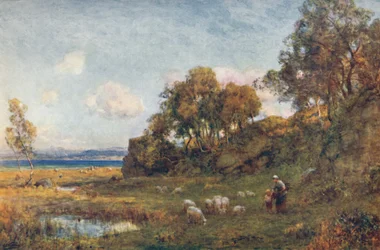 Beschutte Weiden