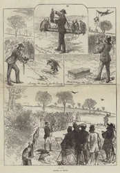 Valkenjacht in Hendon