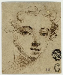 Hoofd van jonge vrouw