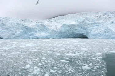 IJsbrokken van nabijgelegen gletsjers drijven in de Arctische zee, Svalbard-eilanden, Noorwegen, 2022 (foto)