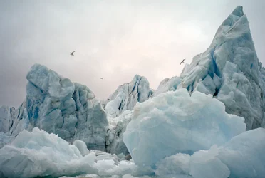 IJsbergen in de Arctische zee rond Spitsbergen, Noorwegen, 2022 (foto)