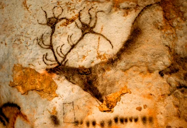 Prehistorische schildering van een edelhert met een negenpuntig gewei in de grot van Lascaux, Frankrijk