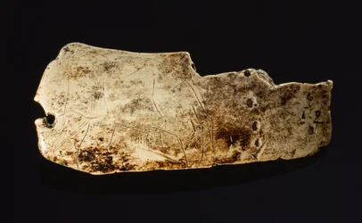 Het beeld van een mammoet is uitgehouwen op een prehistorische mammoetivoor