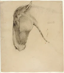 Paardenhoofd