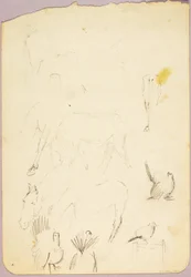 Paarden en kalkoenen