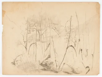 Landschap