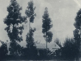 Een Nederlandse Boerderij, nabij New Croesus Gold Mining Company