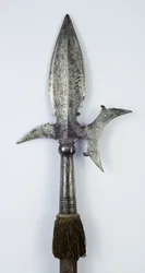 Helmbijl