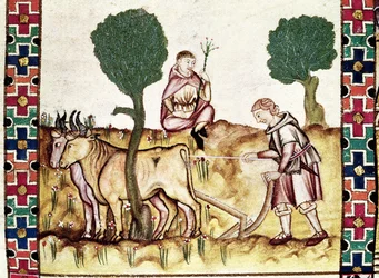 Een boer leert zijn zoon een veld ploegen