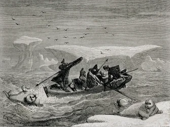 Walrusjacht met harpoenen op de Spitsbergen-eilanden, Svalbard-archipel, illustratie uit 