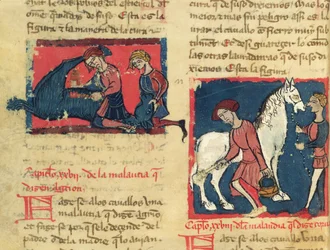 Behandeling van een paard met schurft, uit Libro de Menescalcia y Albeyteria door Juan Alvarez, c.1390