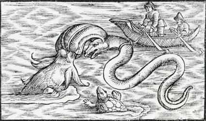 Zee monsters, 1511