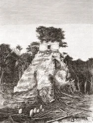 Tikal, Guatemala, Midden-Amerika: De Tempel van de Jaguar
