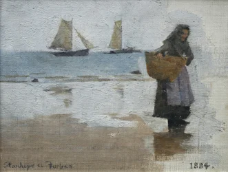 Visservrouw op een strand