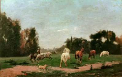 Paarden dartelen in de weide