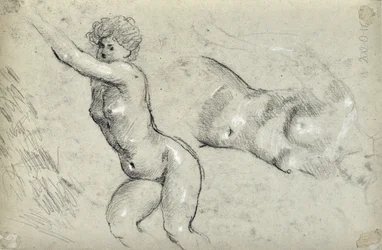 Studie van Vrouwen