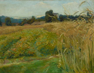 Landschap in de buurt van Krakau