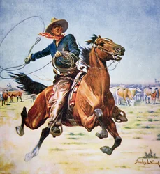 Cowboy uit Texas