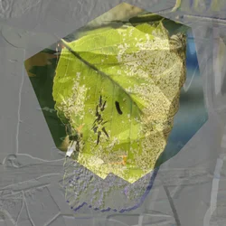 Abstract Groen blad