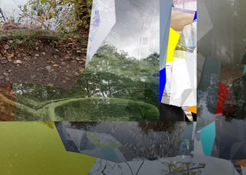 Versnipperde stedelijke natuur
