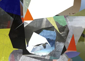 Collage van geometrische natuur