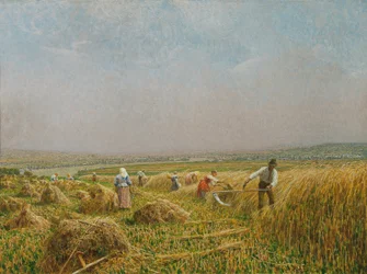 Maaier